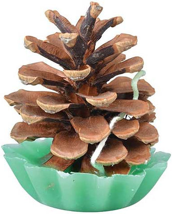 Esschert Design Pine Cone Fire Starters, Pack of 10