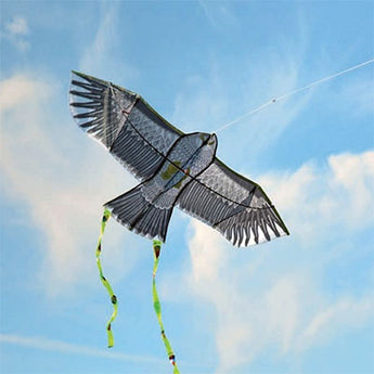 Esschert Design Hawk Kite w/ Pole and Line, 56" Wingspan