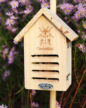 Esschert Design Basic Ladybug House