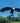 Esschert Staked Metal GIANT Flying Eagle Rocker, 74"H