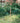 Gardeneer Plastic Fencing, 3' x 50'