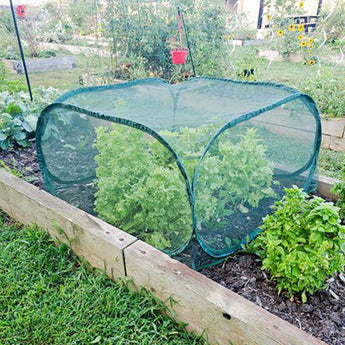Gardeneer Pop-Net Protective Mesh Netting, 21.5"H