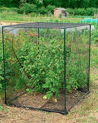 Gardman Small Fruit Cages, Black, 47"H, Pack of 2