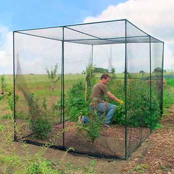 Gardman Walk-In Fruit Cage, Black, 76"H