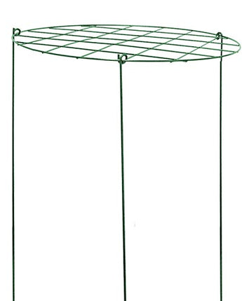 Gardman Grow-Through Plant Supports, 16" dia., Pack of 10