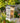 Wild Bird Lover's Squirrel Resistant Feeder w/Bohemian Print