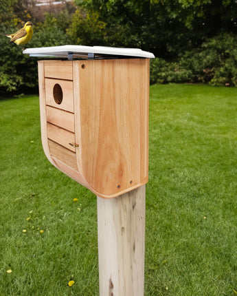 Wild Bird Lover's Nordic Habitat Modern Bluebird House