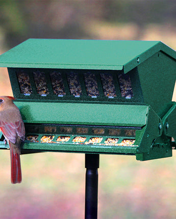 Double Sided Absolute II Bird Feeder with Pole & Hanger