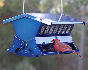 Double Sided Absolute II Bird Feeder, Electric Blue