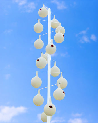 Heath Two-Piece Martin Gourds, Crescent SREH, 16 Pack