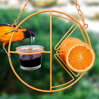 Heath Clementine Fruit and Jelly Oriole Feeder