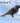 Heath Deluxe Purple Martin Decoy with Mount, Pack of 2