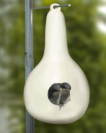 Heath Purple Martin Gourd