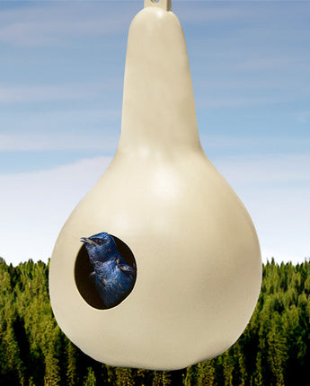 Heath Purple Martin Gourd