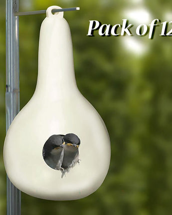 Heath Purple Martin Gourds, Pack of 12