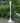 Home Bazaar Classic Tall Pedestal with Auger, White, 5’