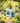 Home Bazaar Flower Cottage Bird Feeder