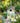Home Bazaar Lilac Cottage Bird House