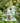 Home Bazaar Dragon Fly Cottage Birdhouse