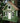 Home Bazaar Santa Cruz Cottage Bird House, Green