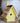 Heartwood New Chick Chickadee Bird House, Yellow