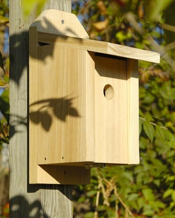 Heartwood Joy Box Chickadee House