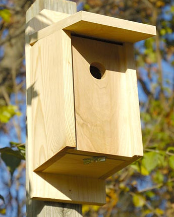 Heartwood Joy Box Eastern Bluebird House