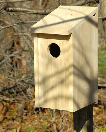 Heartwood Joy Box Screech Owl & Kestrel House