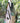 Heartwood Graceland Bird House, Weathered White
