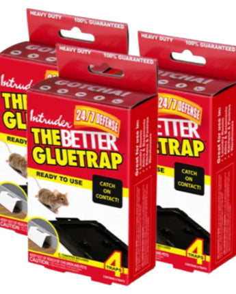 Intruder The Better Gluetrap™ with Canopy, Pack of 12 Traps