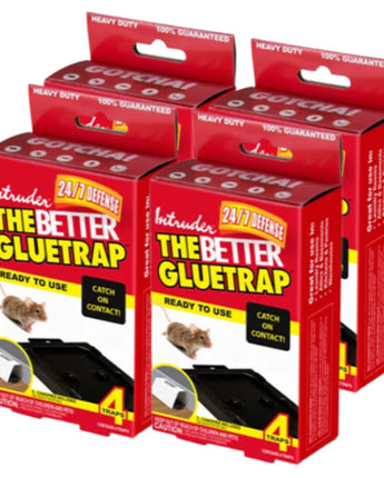 Intruder The Better Gluetrap™ with Canopy, Pack of 16 Traps