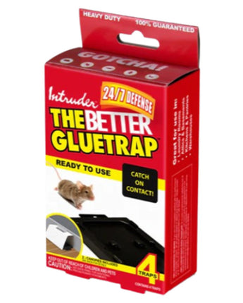 Intruder The Better Gluetrap™ with Canopy, Pack of 4