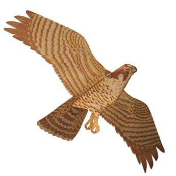 Jackite Peregrine Falcon Kite, 43.5" Wingspan