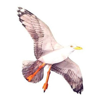 Jackite Sea Gull Kite, 42.5" Wingspan