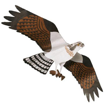 Jackite Osprey Kite, 44" Wingspan