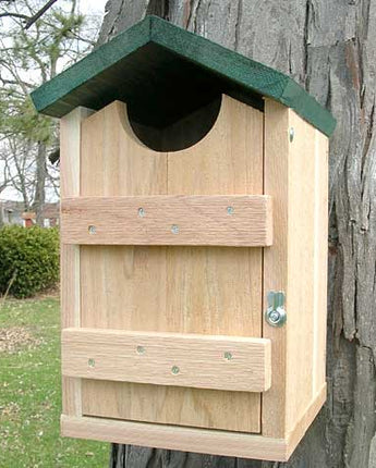 Looker Products Screech Owl and Kestrel House