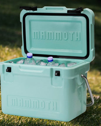 Mammoth Cruiser Cooler, Seafoam, 12 Quarts