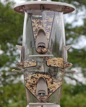 More Birds Abundance Bird Feeder