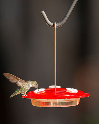 More Birds 3 in 1 Hummingbird Feeder, 6 oz.