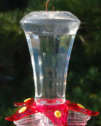 More Birds Bliss Hummingbird Feeder, 15 oz.