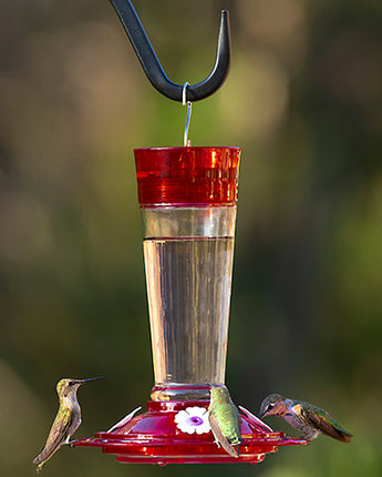 More Birds Ruby Hummingbird Feeder, 10 oz.