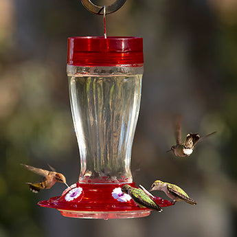 More Birds Big Gulp Hummingbird Feeder, 38 oz.