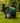 Nestera Chicken Wagon, Green and Black