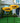 Sunflower Staked Bird Feeder Set