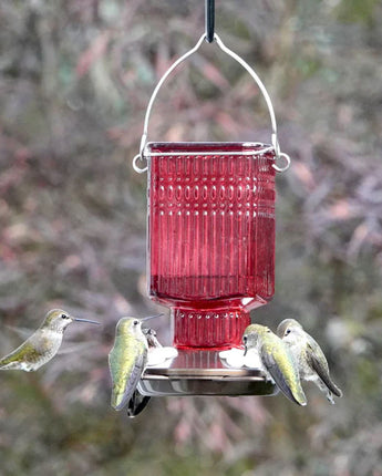 Nature's Way Crimson Carnation Hummingbird Feeder, 19 oz.