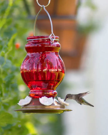 Nature's Way Ruby Visions Hummingbird Feeder, 25 oz.