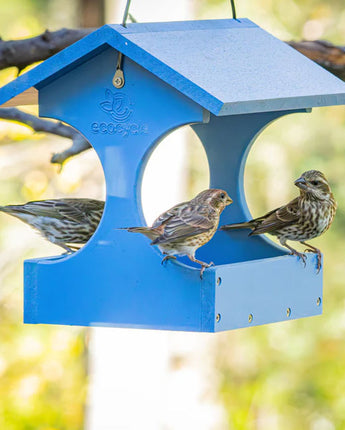 Nature's Way Dine-n-Dash Recycled Plastic Fly-Thru Feeder