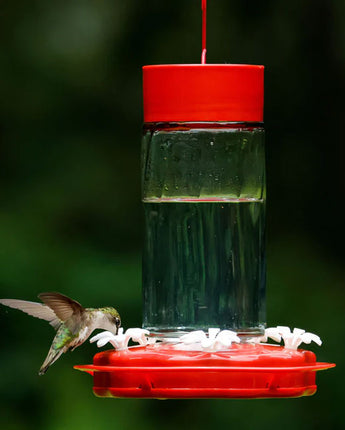 Nature's Way Scarlet Swirl Glass Hummingbird Feeder, 18 oz.