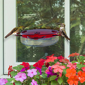 Nature's Way Traditional Window Hummingbird Feeder, 8 oz.