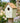 Nature's Way Decorative Bluebird House, Olive Blossoms